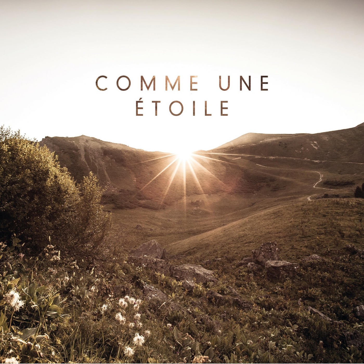 Comme une etoile